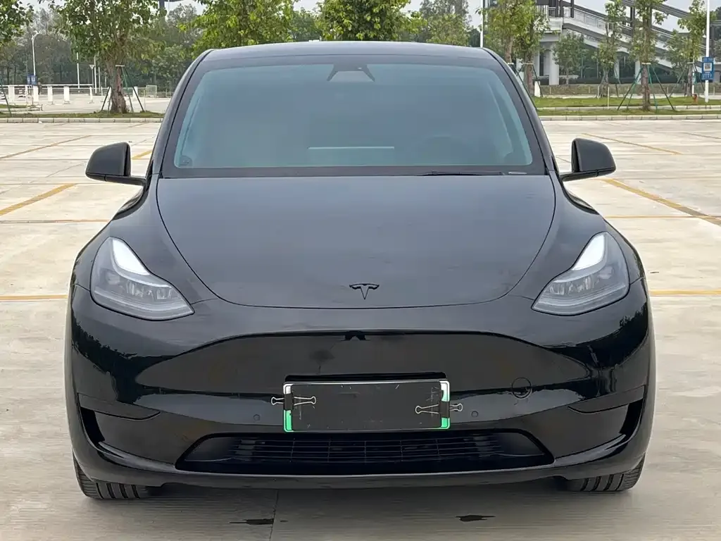 Tesla Model Y — фото 2