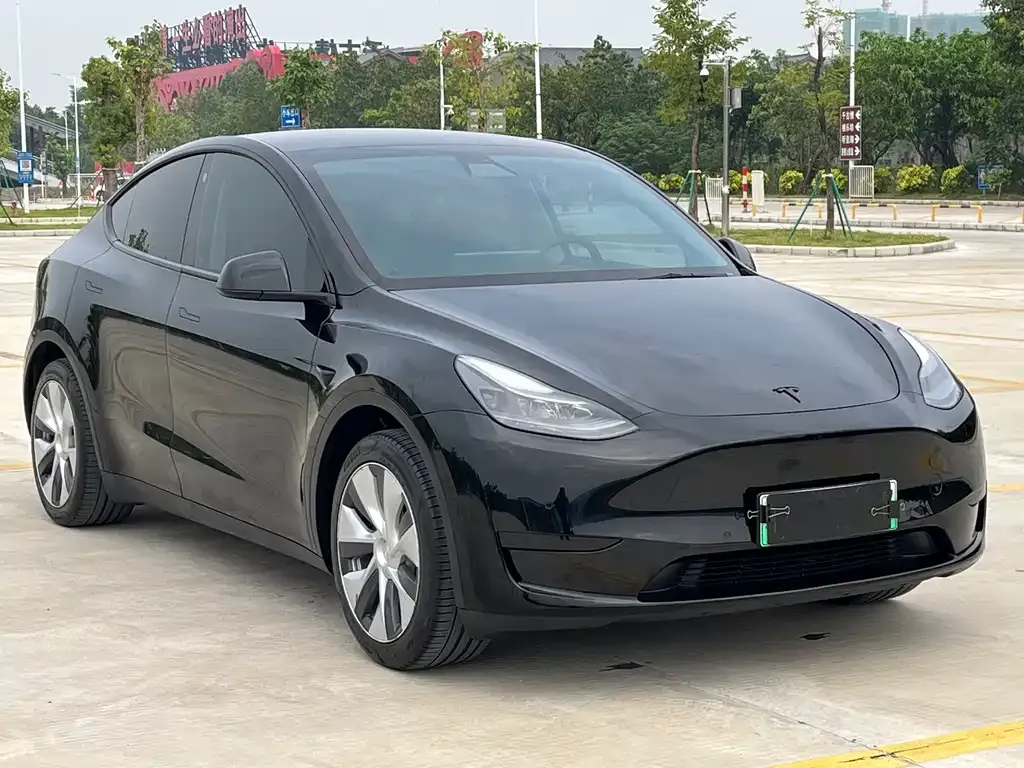 Tesla Model Y — фото 3