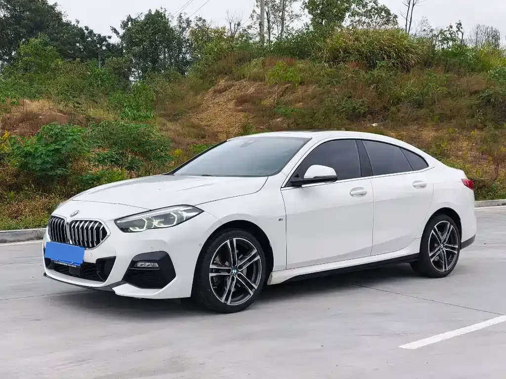 BMW 2 Series (Import) — фото 1