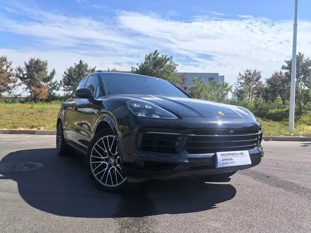 Porsche Cayenne — фото 10