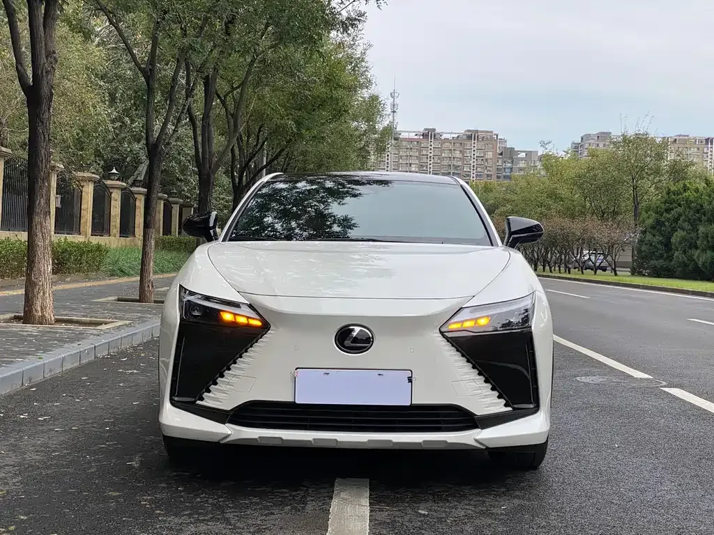 Lexus RZ — фото 10