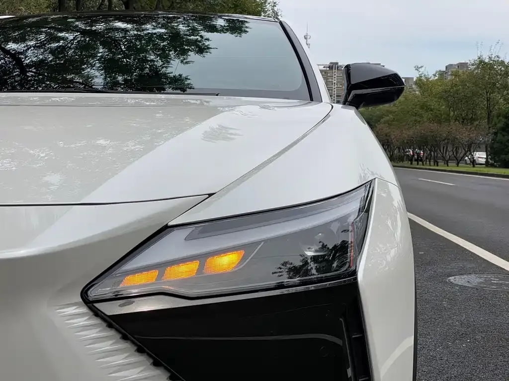 Lexus RZ — фото 6