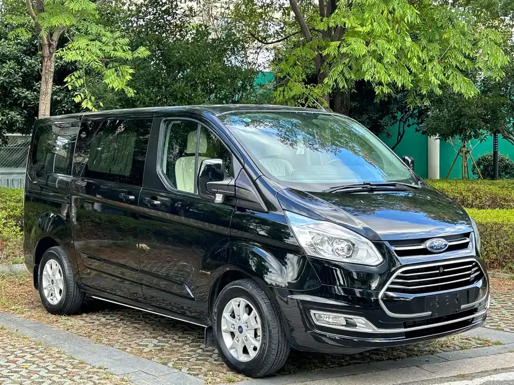 Ford Tourneo — фото 1