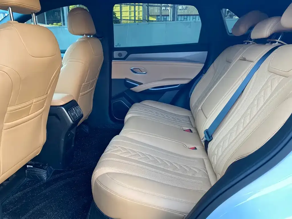 BYD L DM-i — фото 9