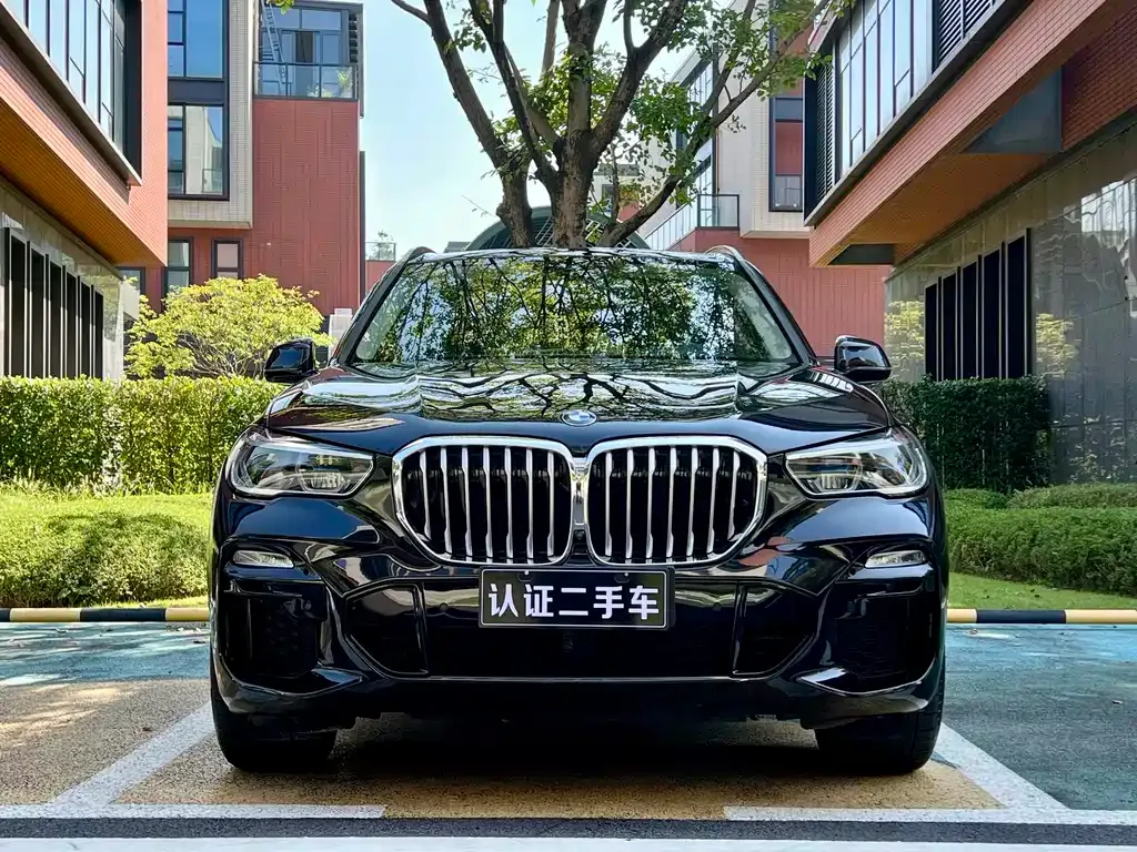 BMW X5 (Import) — фото 2