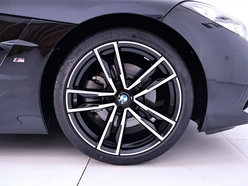 BMW Z4 — фото 6