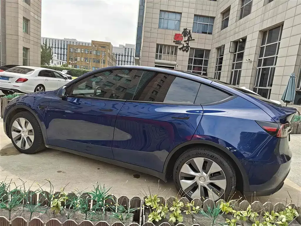 Tesla Model Y — фото 3