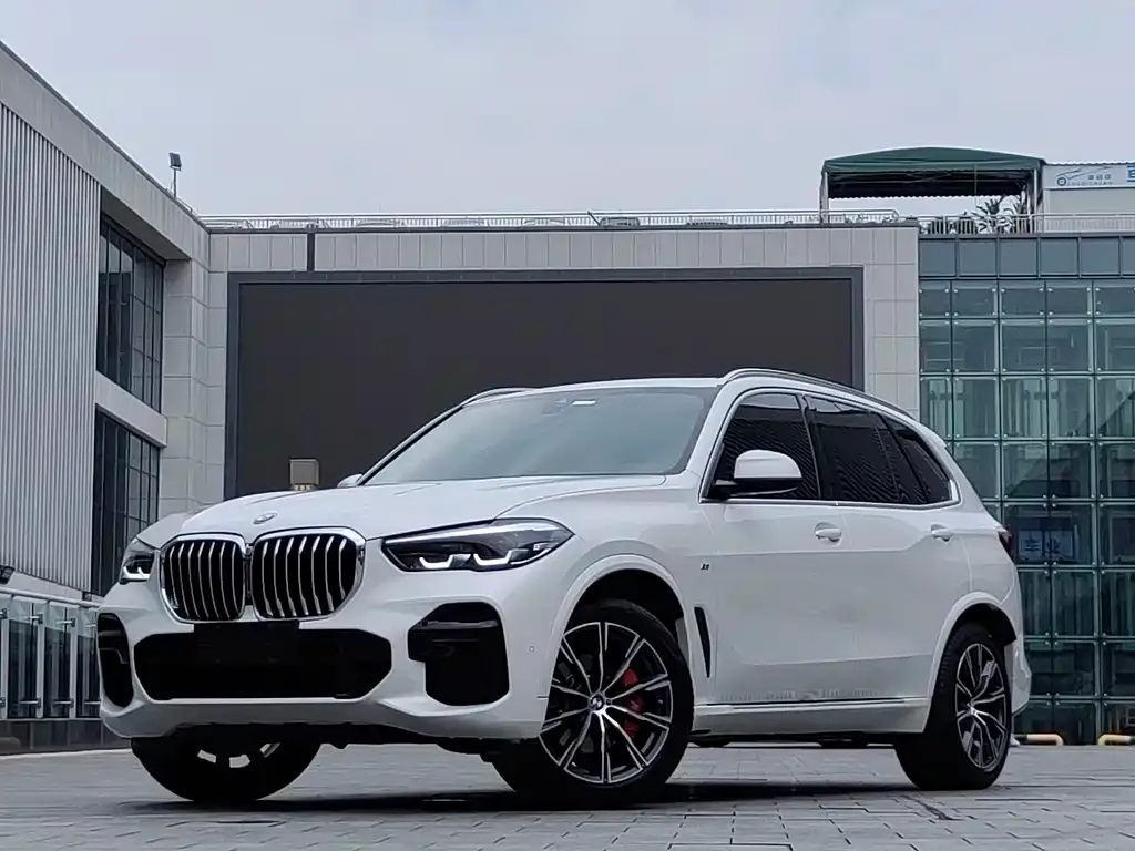 BMW X5 (Import) — фото 1