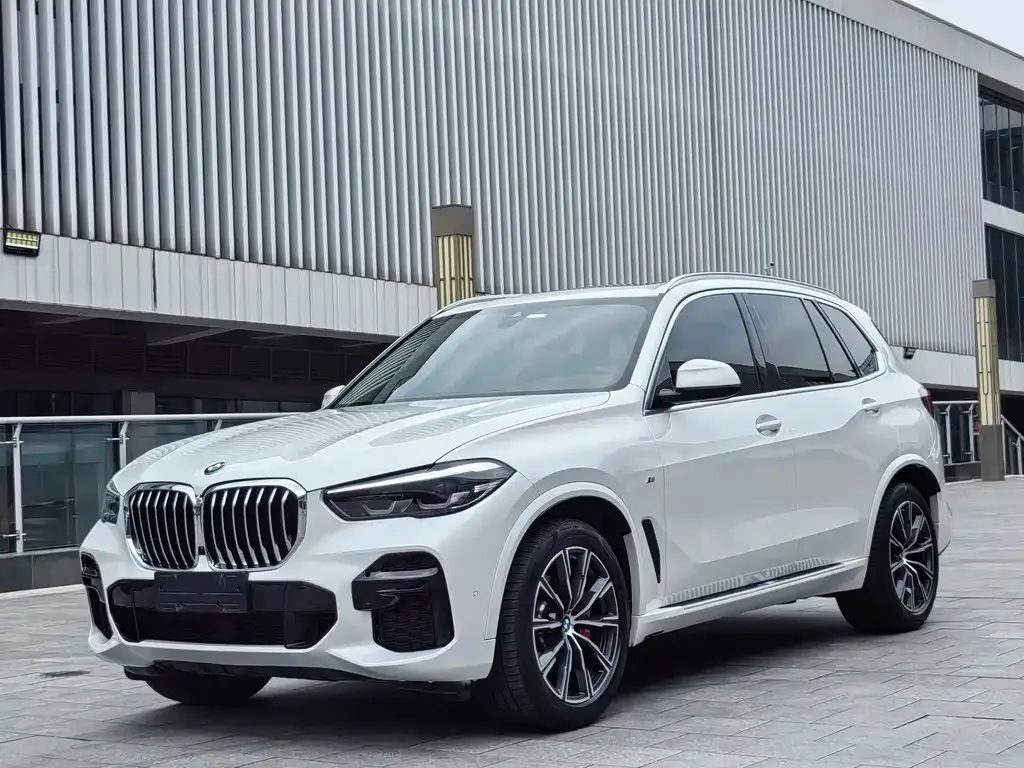 BMW X5 (Import) — фото 3