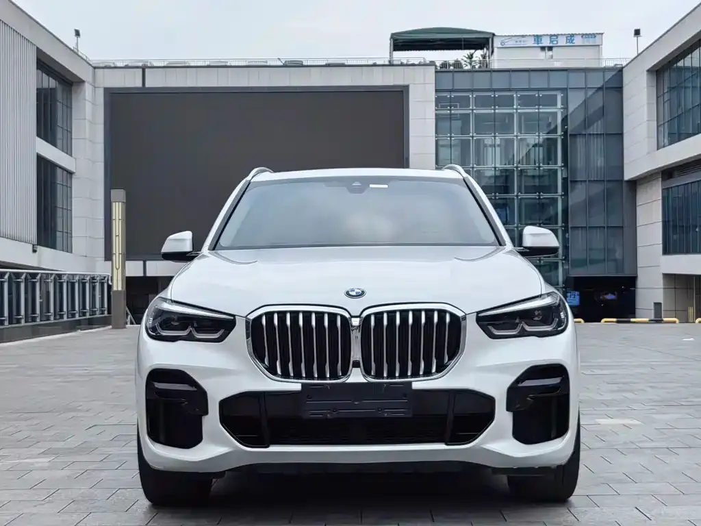 BMW X5 (Import) — фото 4