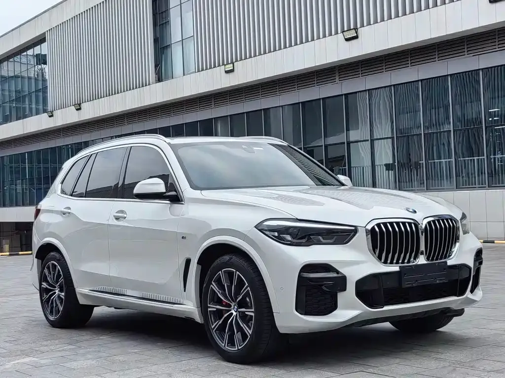BMW X5 (Import) — фото 5