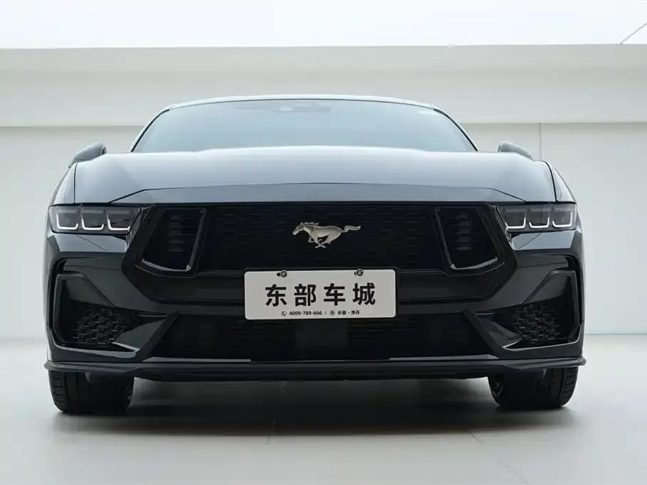 Ford Mustang — фото 2