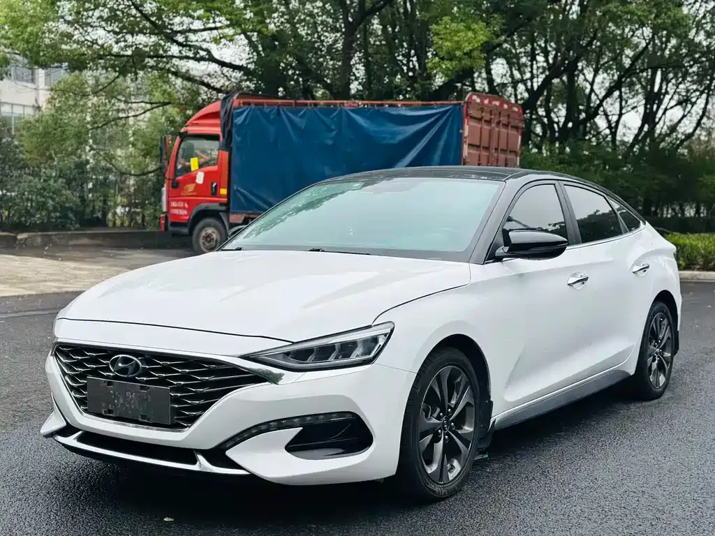 Hyundai Fista — фото 1