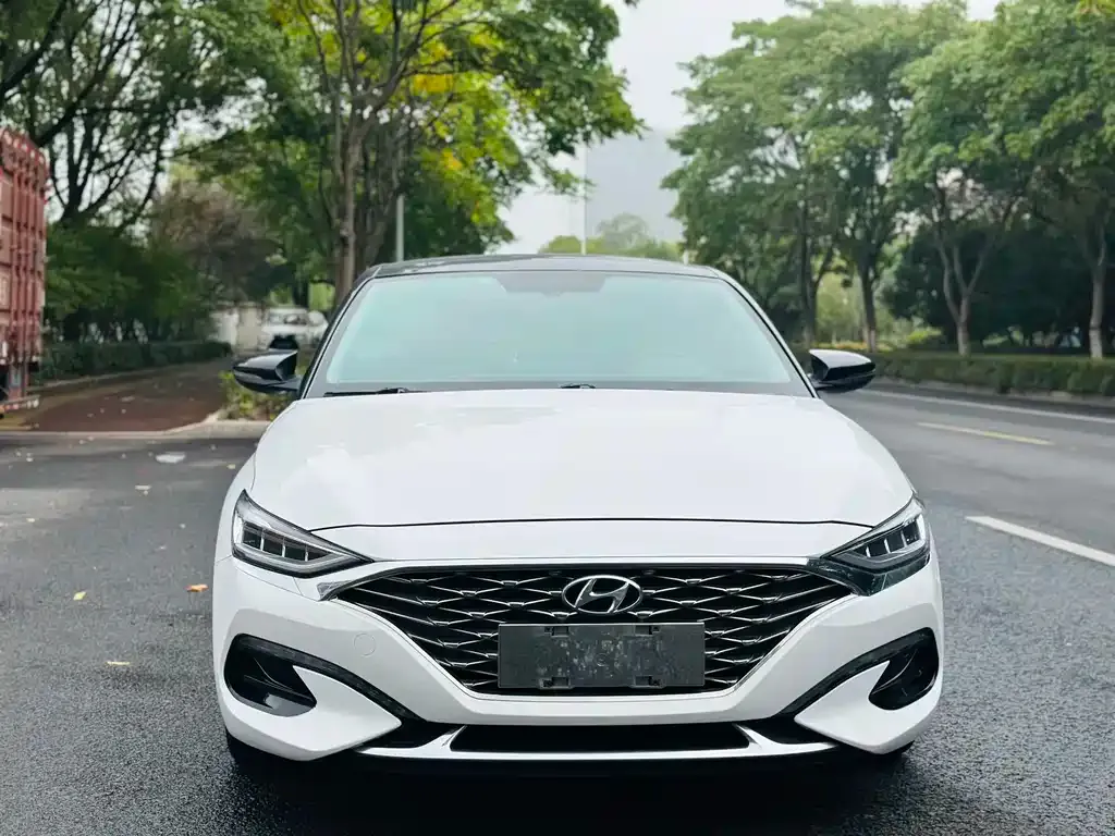 Hyundai Fista — фото 2