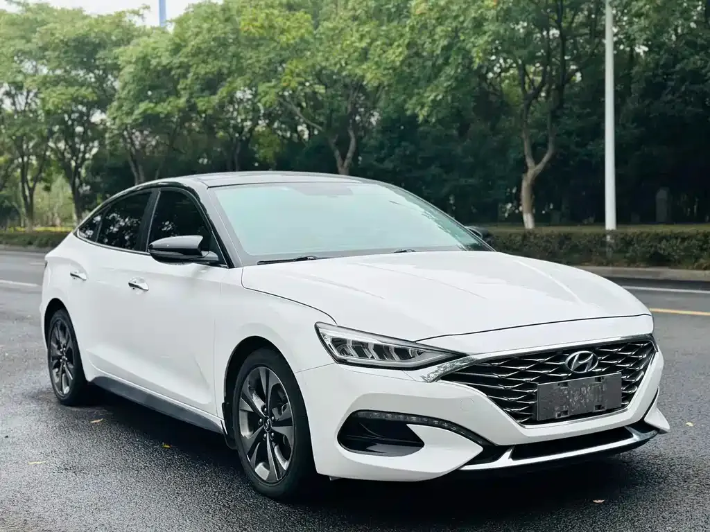 Hyundai Fista — фото 3