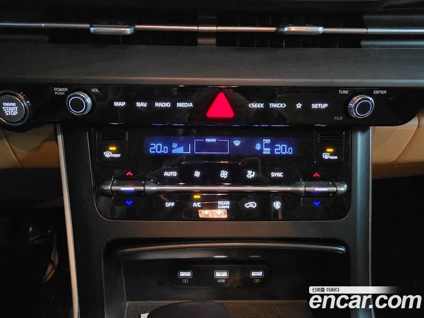 Kia Carnival — фото 10