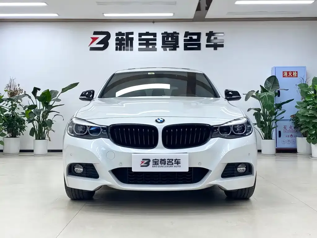 BMW 3 Series GT — фото 2
