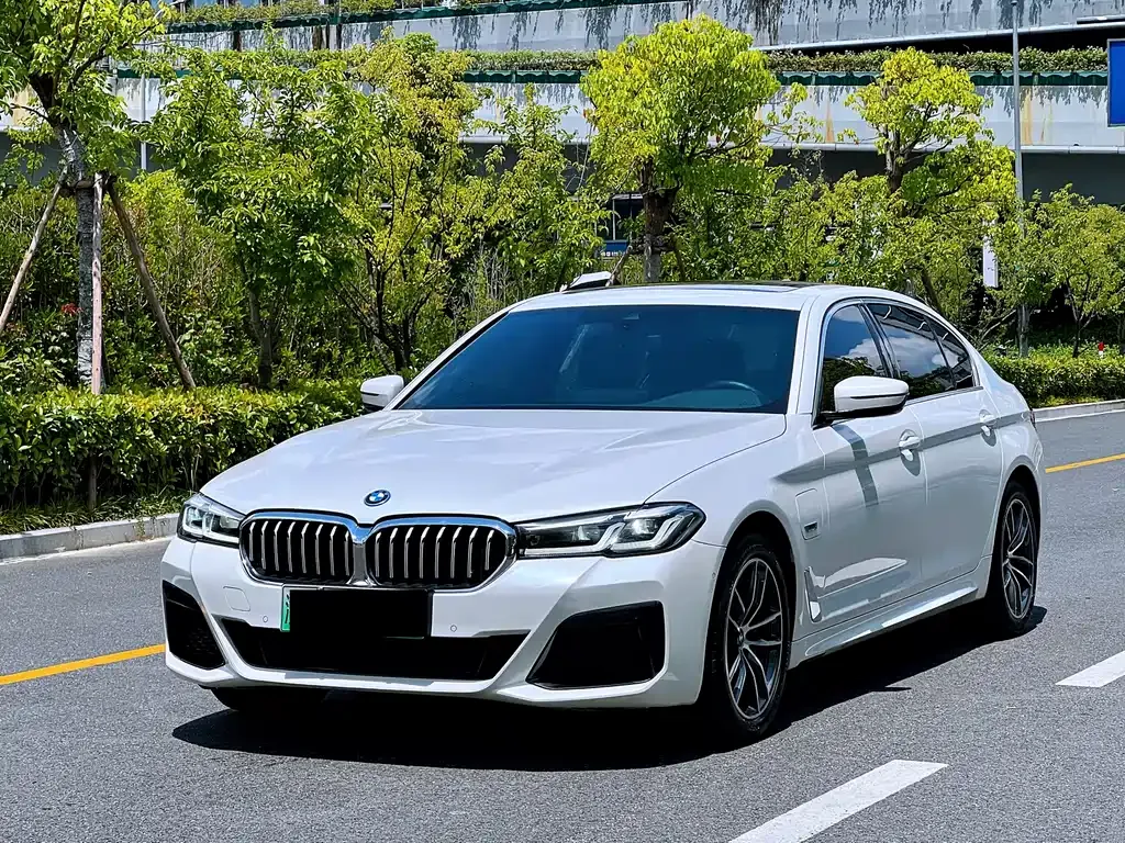 BMW 5 Series New Energy — фото 1