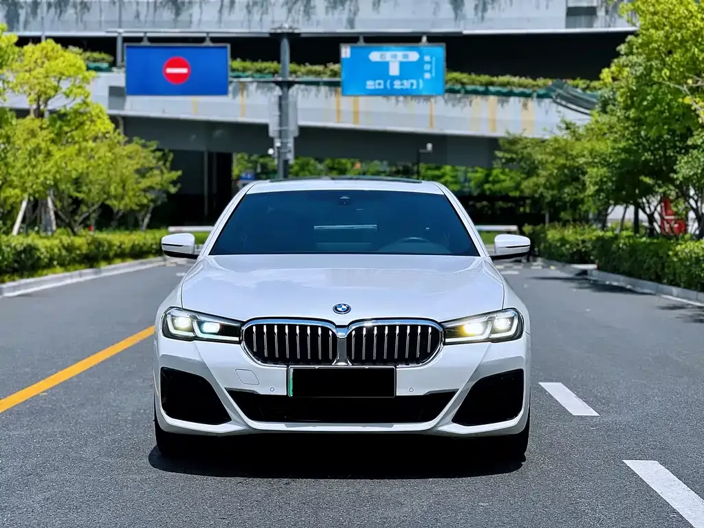 BMW 5 Series New Energy — фото 2
