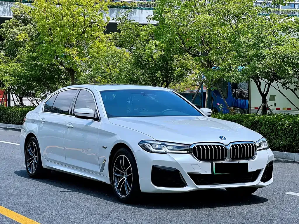 BMW 5 Series New Energy — фото 3