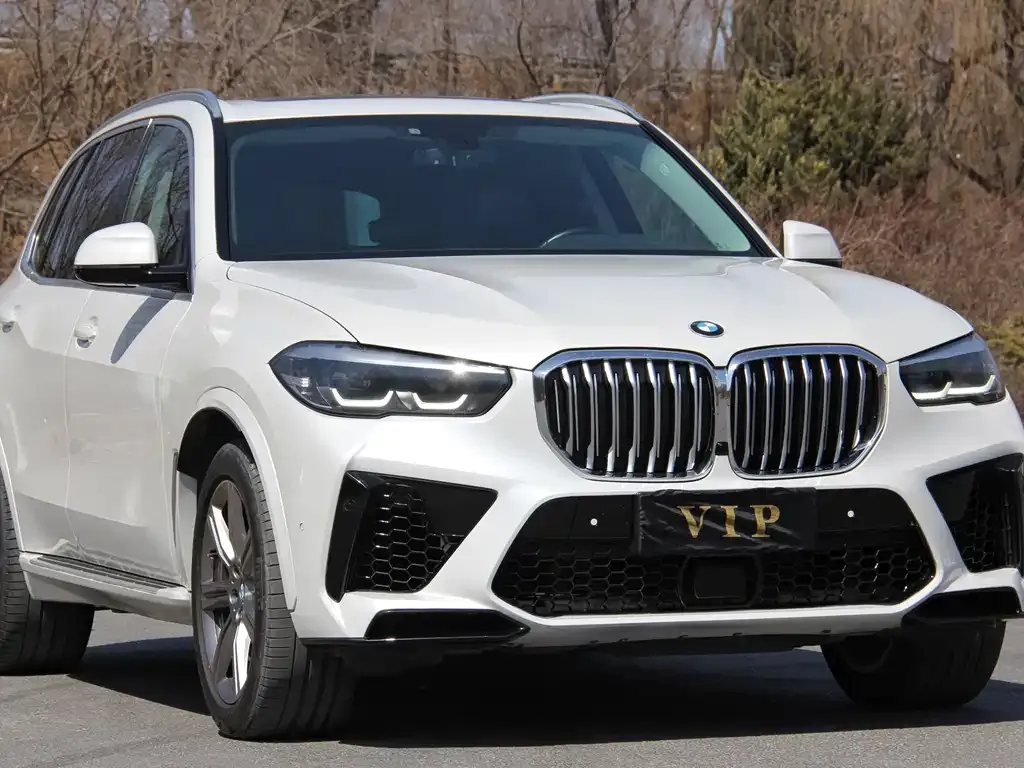 BMW X5 (Import) — фото 2