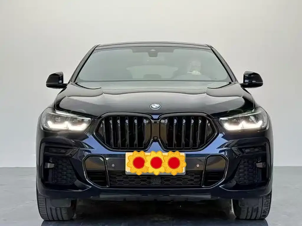 BMW X6 — фото 2