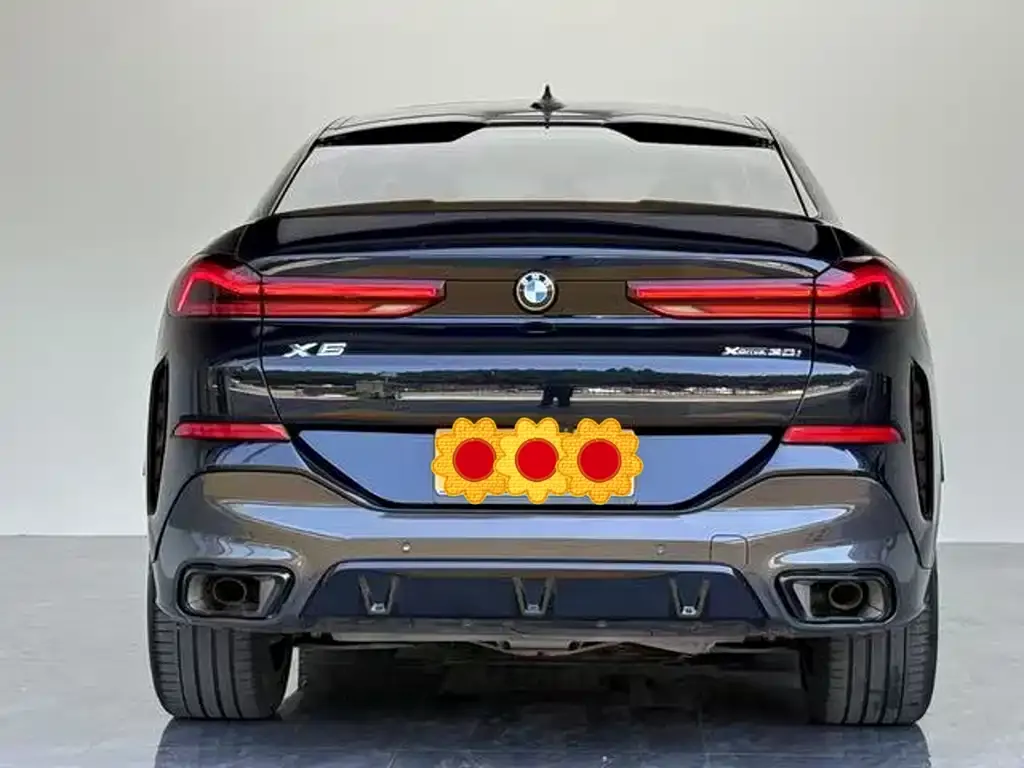 BMW X6 — фото 6