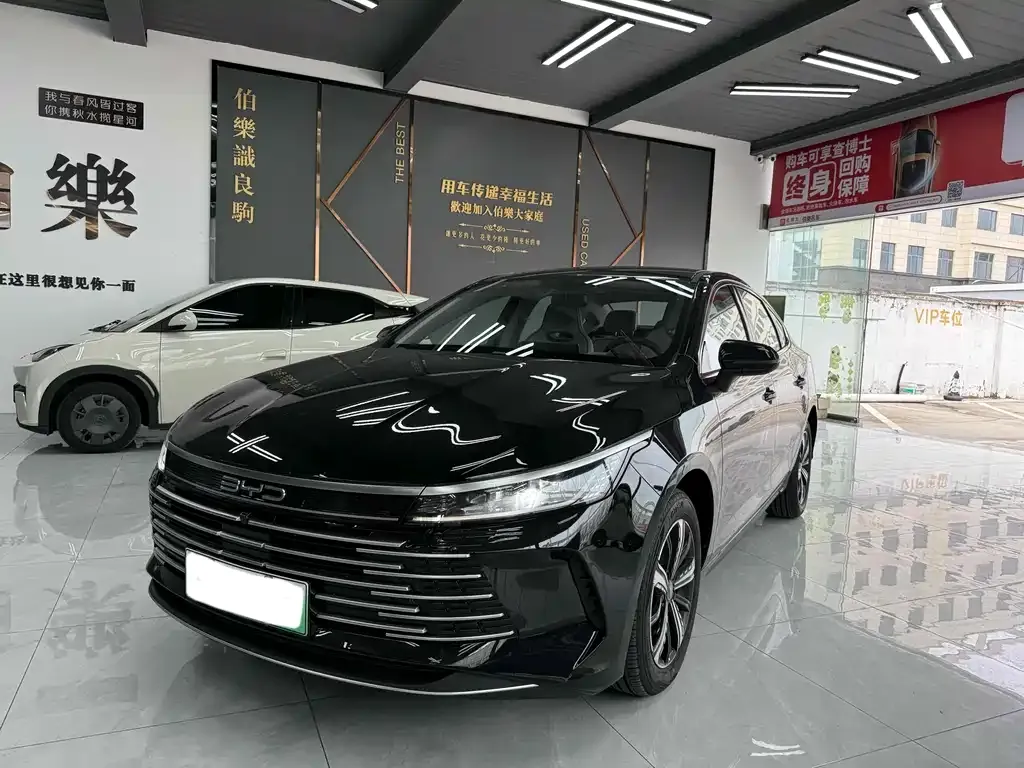 BYD Destroyer 05 — фото 1