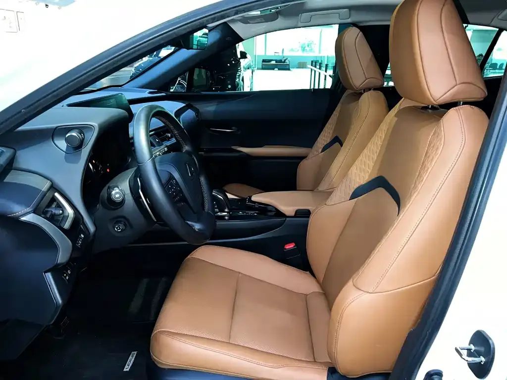 Lexus UX New Energy — фото 10
