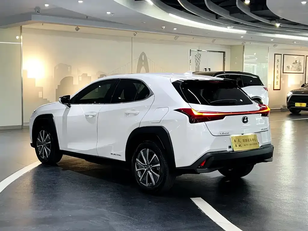 Lexus UX New Energy — фото 4