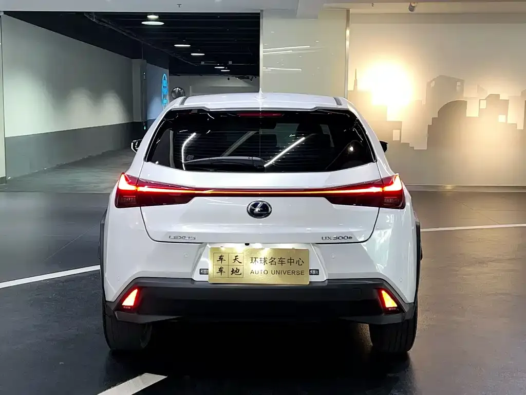Lexus UX New Energy — фото 5