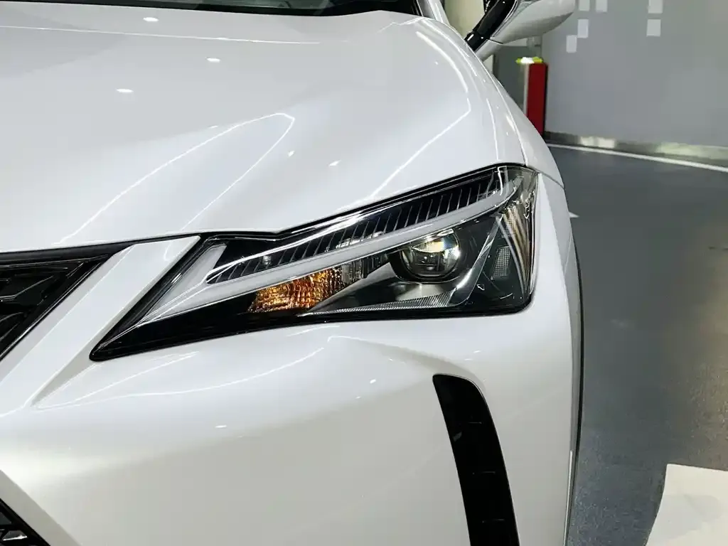 Lexus UX New Energy — фото 8