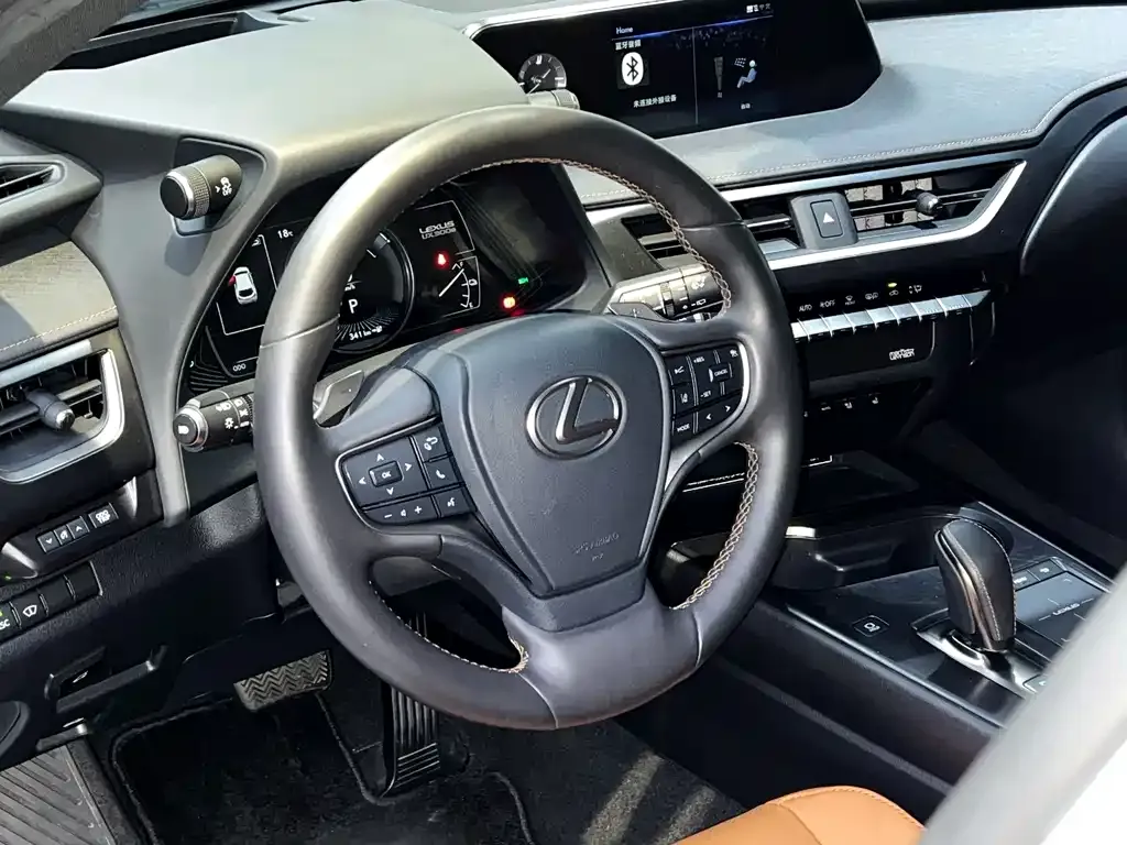 Lexus UX New Energy — фото 9