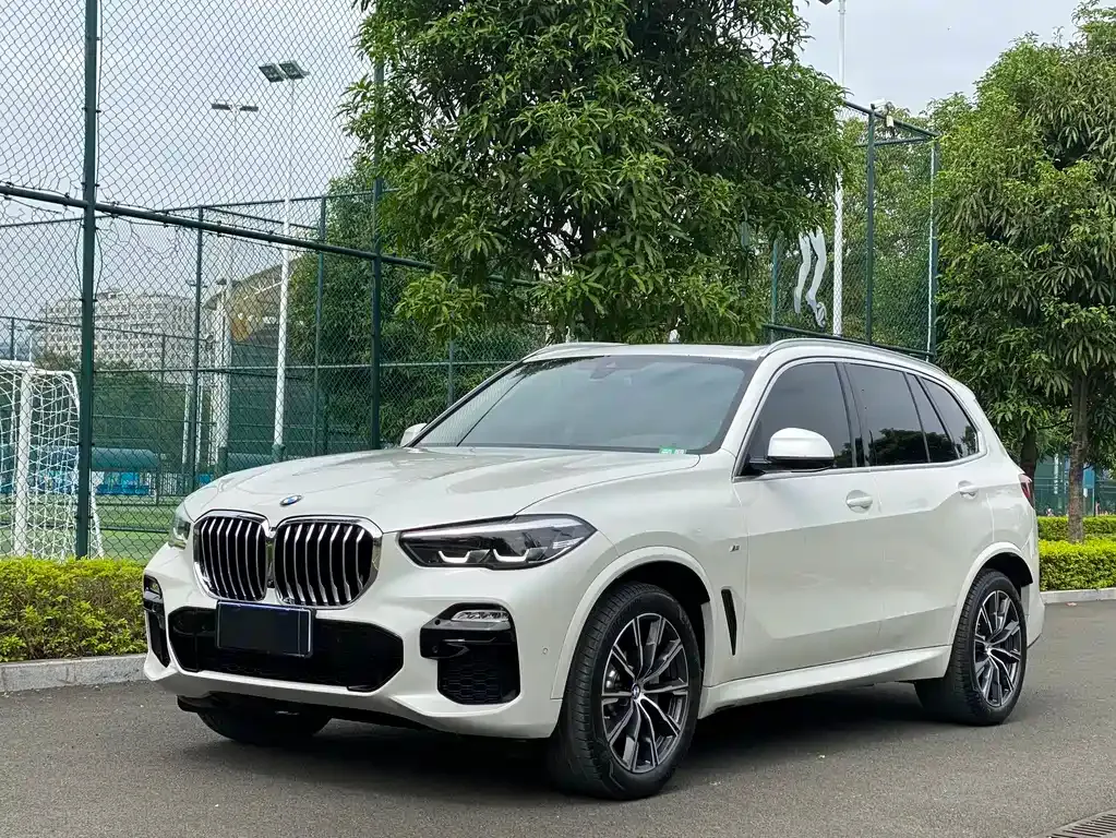 BMW X5 (Import) — фото 1