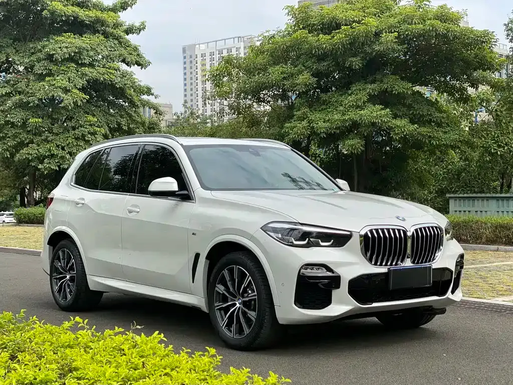 BMW X5 (Import) — фото 6