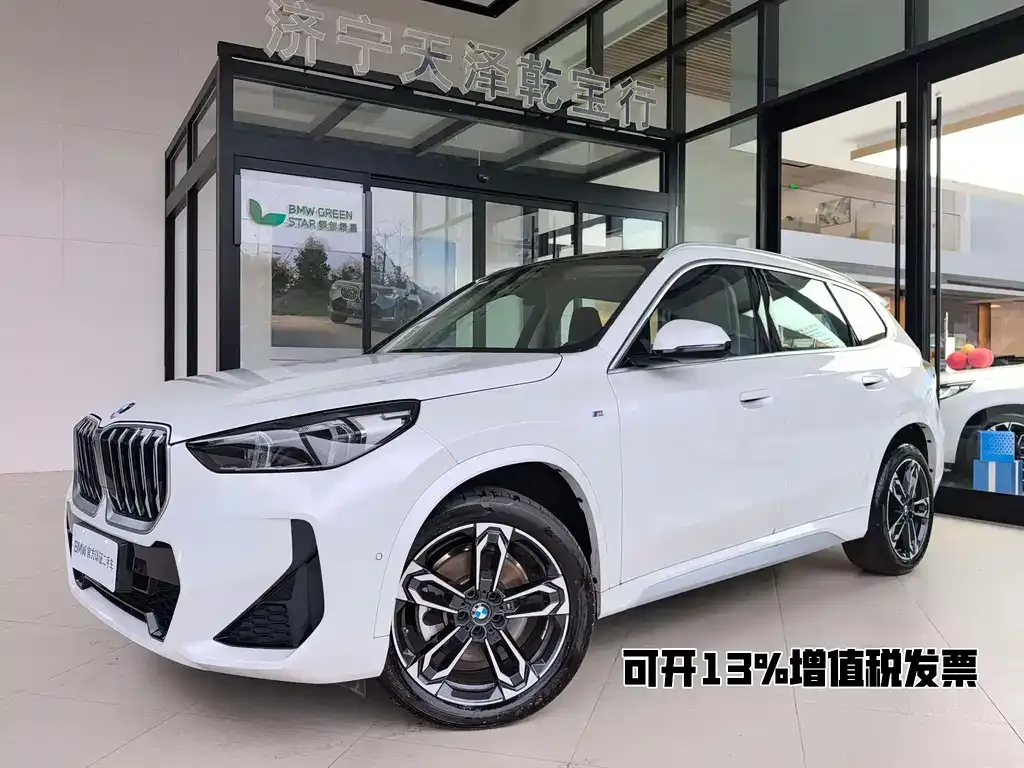BMW X1 — фото 1