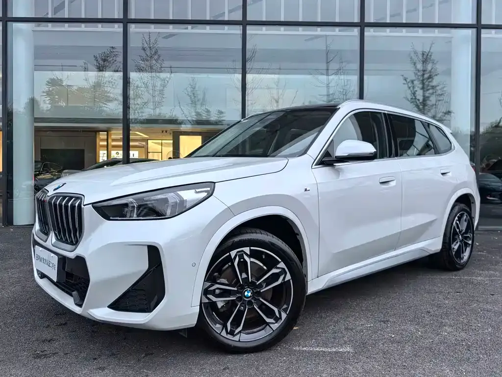 BMW X1 — фото 2