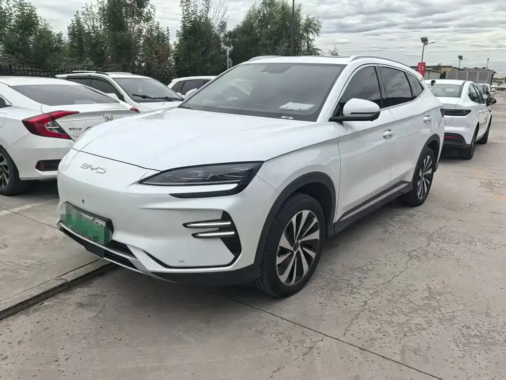 BYD PLUS New Energy — фото 1
