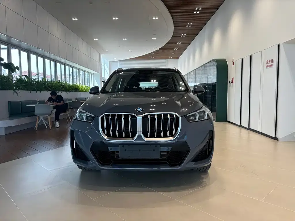BMW X1 — фото 2