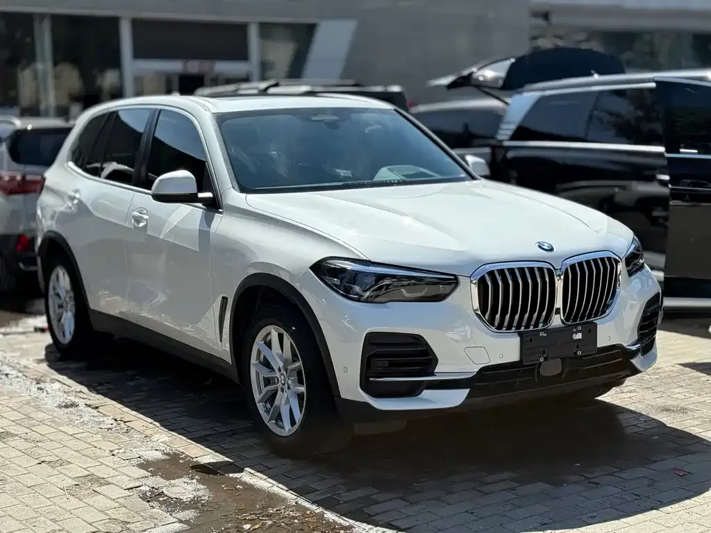 BMW X5 (Import) — фото 3