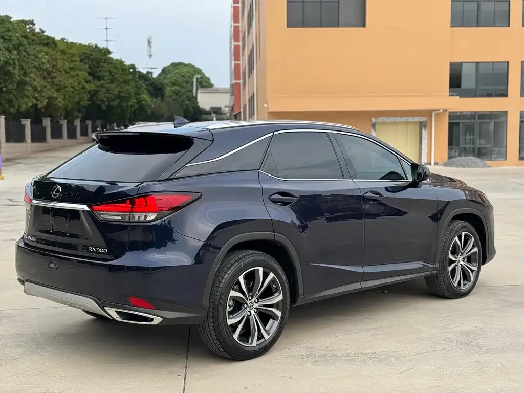 Lexus RX — фото 8
