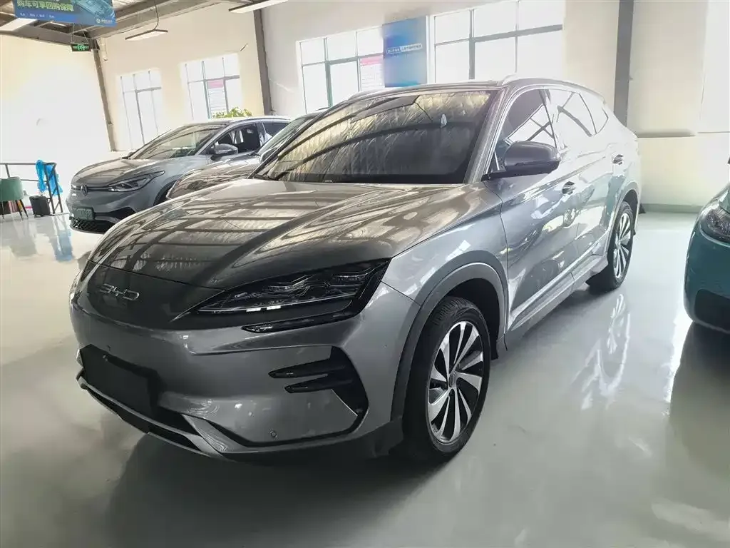 BYD PLUS New Energy — фото 1