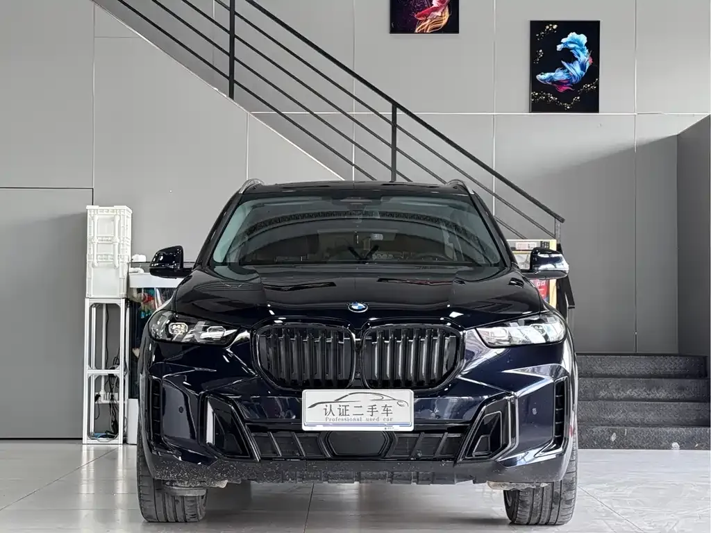 BMW X5 — фото 2