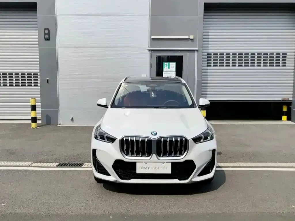 BMW X1 — фото 1
