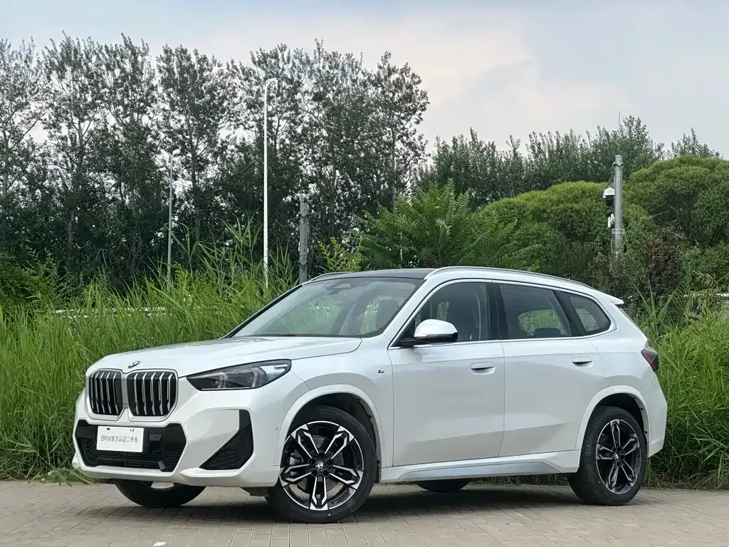 BMW X1 — фото 1