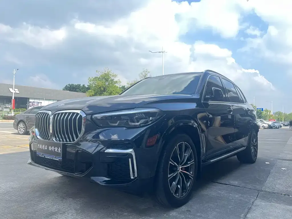 BMW X5 — фото 1