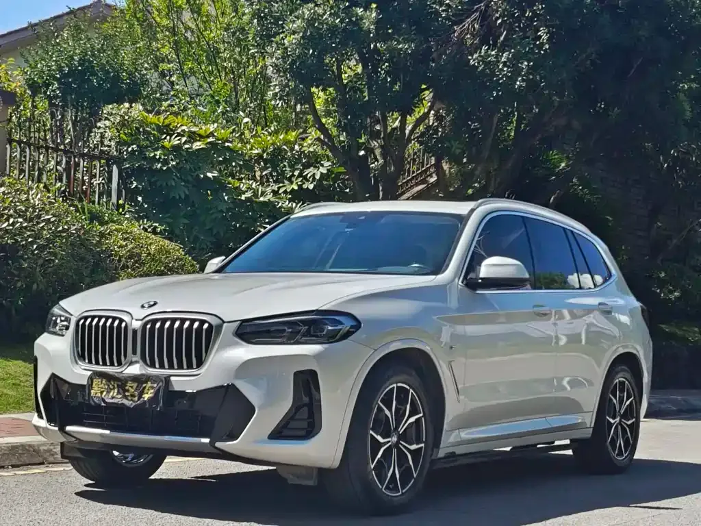 BMW X3 — фото 1