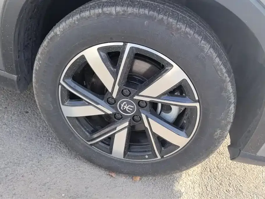 BYD Pro New Energy — фото 6