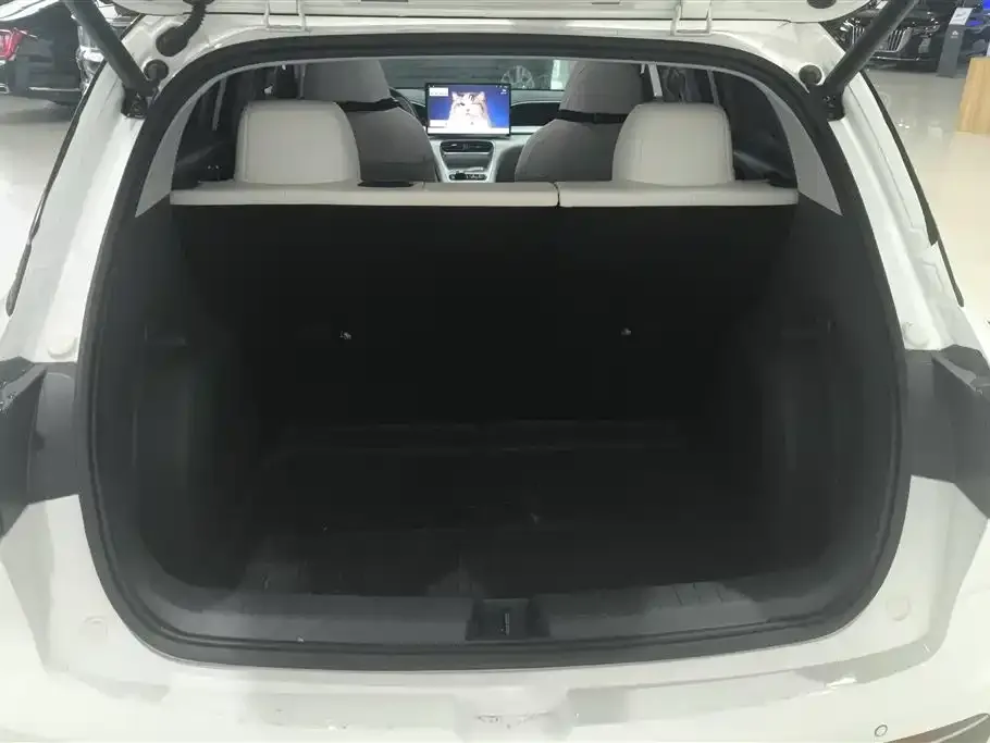 Geely Starburst — фото 4