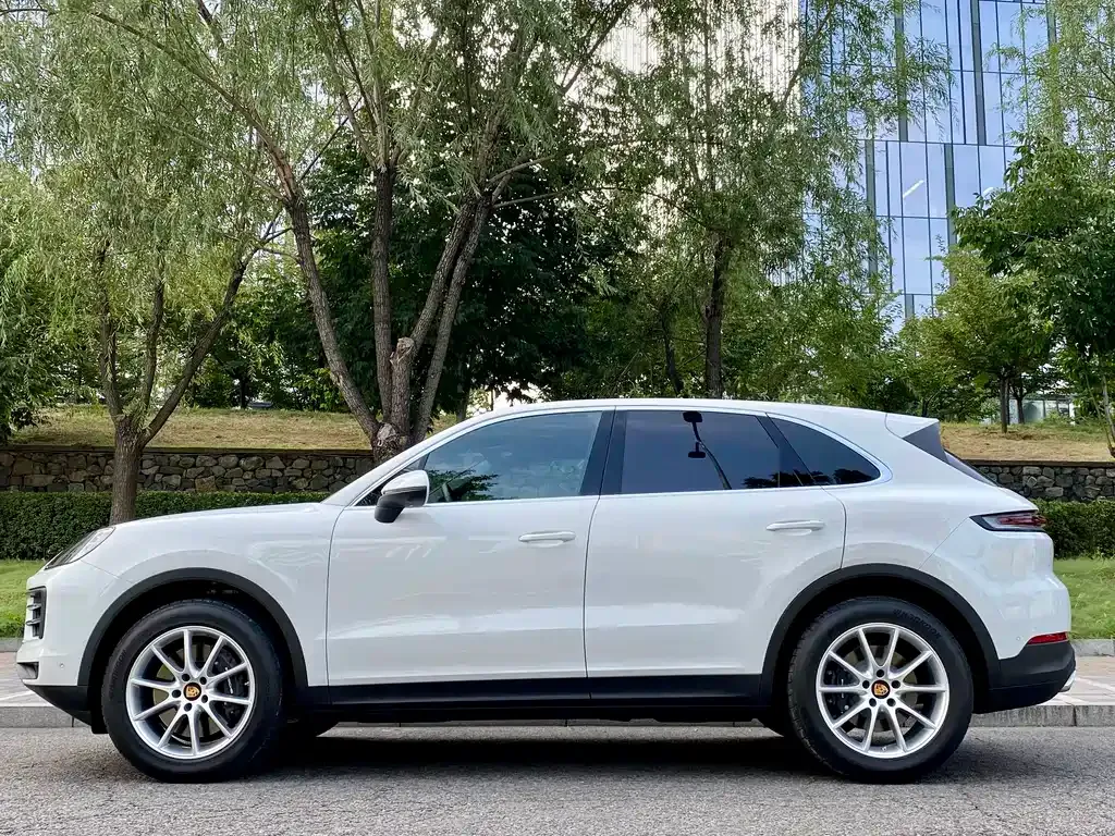 Porsche Cayenne — фото 5
